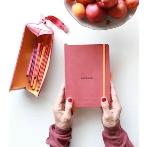 Rhodiarama tray pencase taupe