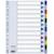 Tabbladen Esselte, 12 tabs, A4, PP, 115 micron, geassorteerd