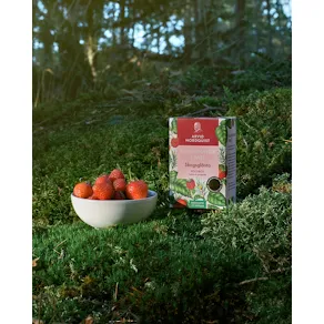 Te Fair ARVID.N Skogsglänta rooibos 25/f