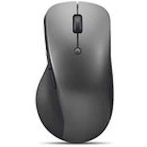 Lenovo Professional - Mus - ergonomisk - optisk blå - 6 knappar