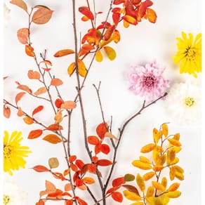 Motivserviette PAPER+DESIGN, 33 x 33 cm, Herbst