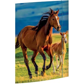 Gummizugmappe RNK Free Horses, A3