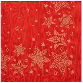 Serviett PAPSTAR Christmas Shine(20)