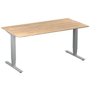Bord höj/sänk Pro 1600x800 ek/silver