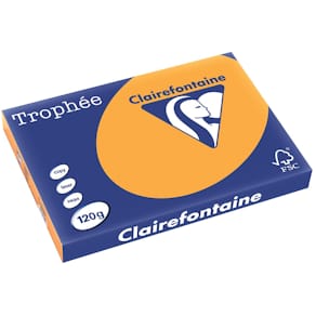 Gekleurd papier Clairefontaine Trophée Pastel, A3, 120 g, 250 vel