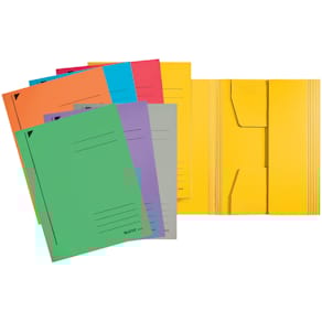 Jurismappe Leitz, A4, sortiert