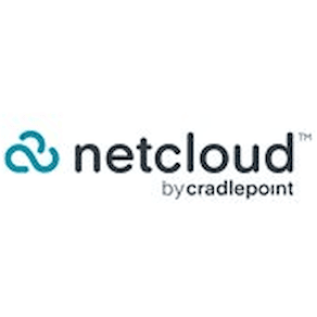 NetCloud SASE ZTNA for Users - Abonnemangslicens (3 år)