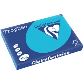 Papier Clairefontaine Trophée Intens, A3, 120 g, 250 vel, konings