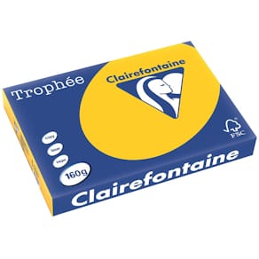 Gekleurd papier Clairefontaine Trophée Intens, A3, 160 g, 250 vel