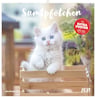 Extra produktbild
