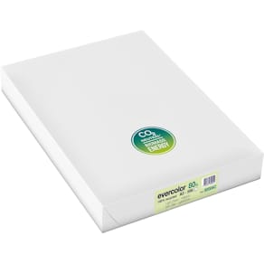Papier Clairefontaine Evercolor, gekleurd gerecycled, A3, 80 g, 1