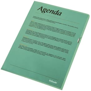 Plastlommer Esselte A4 105 my, præget PP, grøn, 100