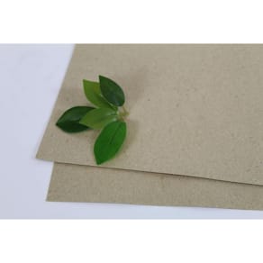 Växtpresspapper, 40x47cm, 180g, 250/fp