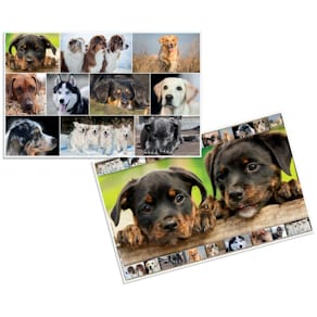 Schreibunterlage HERMA, Hunde, 550 x 350 mm, Softtouch