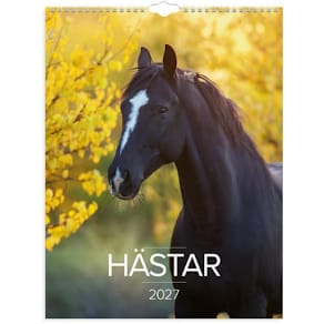 Väggkalender Stora Hästkalendern 2027