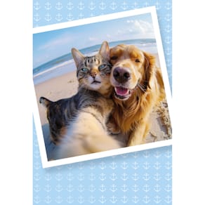 Glückwunschkarte, maritimes Motiv mit Hund & Katze, 11,5 x 17 cm