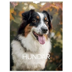 Väggkalender Stora Hundkalendern 2026